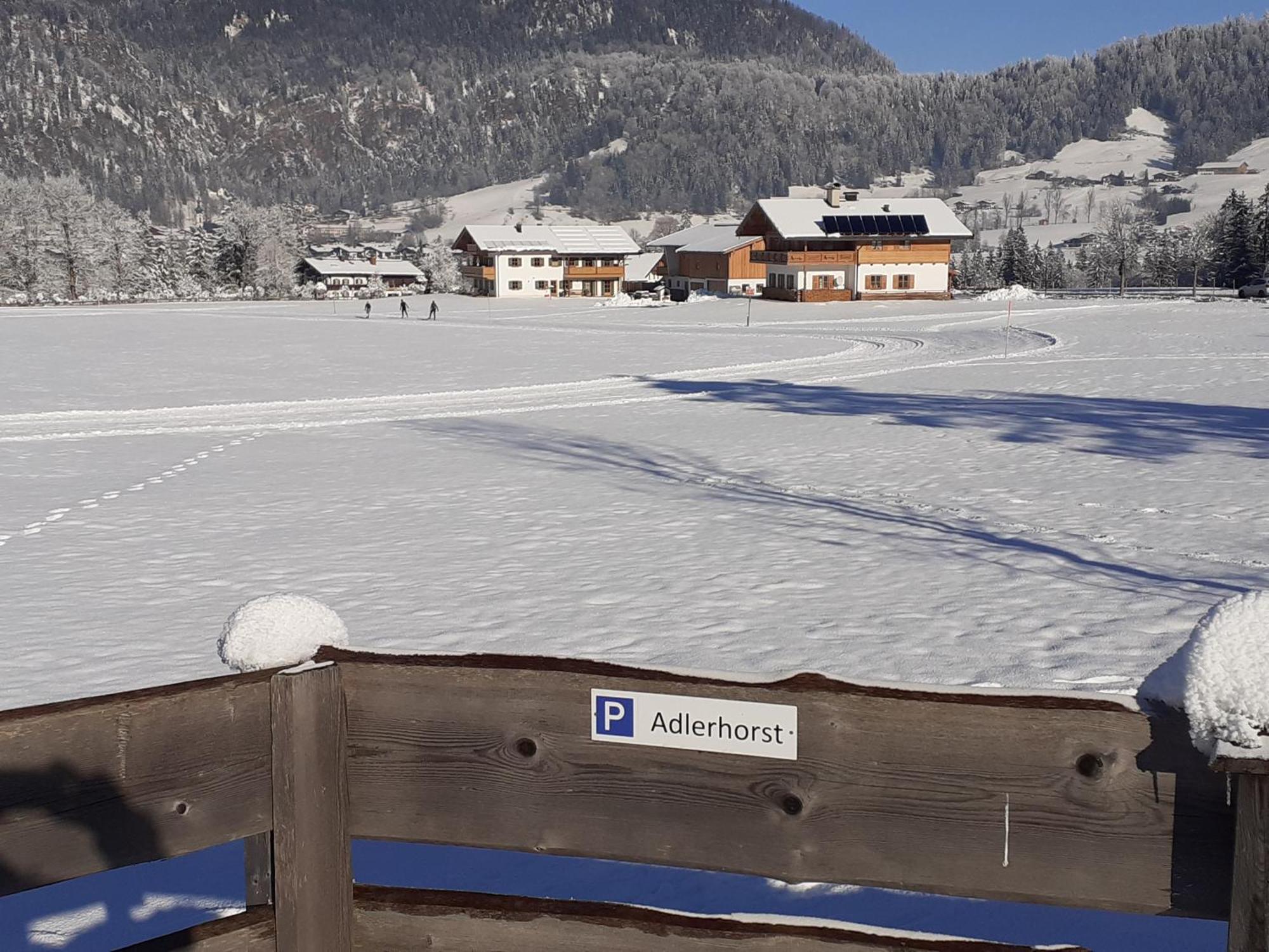 Ferienwohnung Adlerhorst Im Haus Lohrey Reit im Winkl Esterno foto